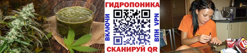 Cannafood конопля  Курлово 